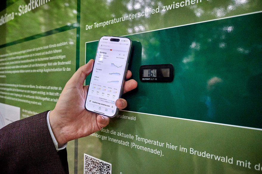 An der Tafel „Waldklima – Stadtklima“ werden Temperaturunterschiede im Wald und in der Stadt anschaulich: Ein Thermometer zeigt die aktuelle Temperatur im Wald an, während ein QR-Code es ermöglicht, die Temperatur direkt auf dem Smartphone mit der Temperatur in der Bamberger Innenstadt (Promenade) zu vergleichen.