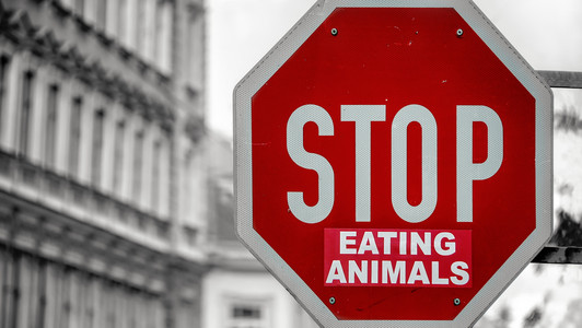 Stopp-Schild mit der Aufschrift "Eating Animals"