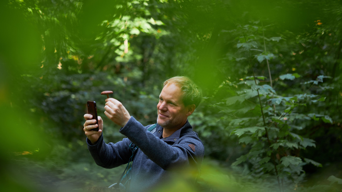 Jorge Groß analysiert einen Pilz mittels einer App auf seinem Mobiltelefon.