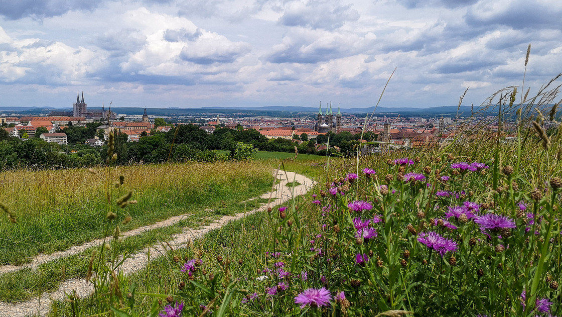 Bamberg von oben mit Natur