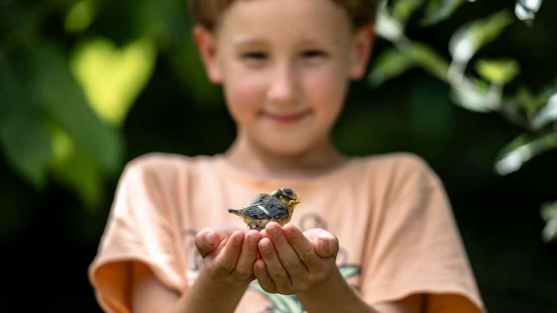 Kind mit Vogel in der Hand