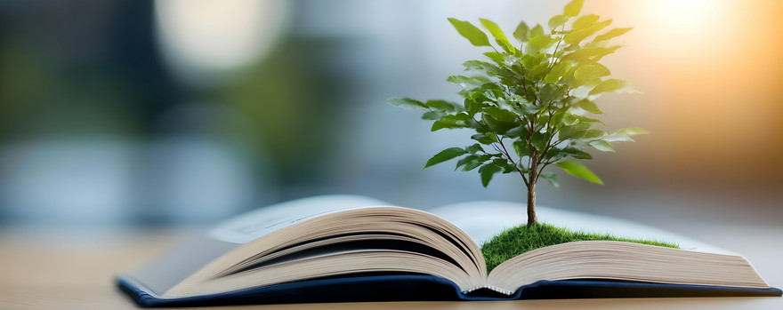 Buch mit Baum