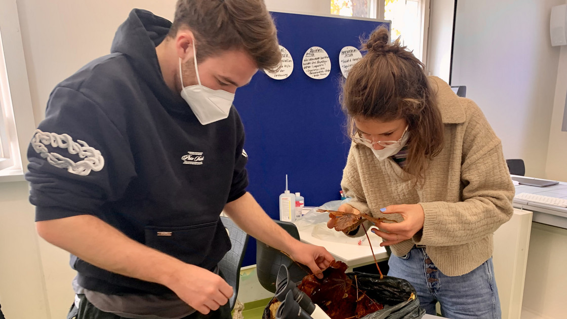 Student und Studentin suchen in Labor nach Tieren im Laub